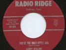 HEAR-Rare Teen 45-Larry Rollins-You're The Only Little 
