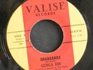 45 GUNGA DIN on VALISE Snake Pit deep funk LISTEN