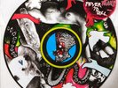 YEAH YEAH YEAHS- Fever To Tell (Vinyl Picture Disc) LTD