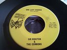 VG++ Sir Winston Commons Garage Psych on Nauseating But