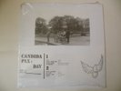Candida Pax - Day - Vinyl LP - Shadoks Music