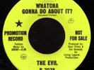 The Evil What'cha Gonna Do About It WILD FUZZ Garage Pu