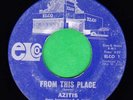 Rare CA. Garage/Psych - Azitis - 