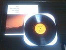The American Analog Set The Golden Band LP Vinyl NM
