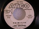 GROUPIES Garage Psych Fuzz 45 Primitive / Hog Promo Atc