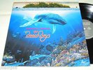 The Beach Boys - Summer In Paradise, Korea LP.
