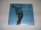 Sunny Day Real Estate 