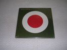 Thievery Corporation 