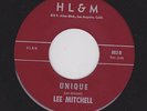 RARE FUNK/DEEP SOUL LEE MITCHELL Unique/How Can You Be 