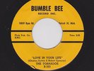 DETROIT R&B/DOOWOP TORNADOS Love In Your Life/Geni In J