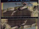 WIDESPREAD PANIC, SPACE WRANGLER, LANDSLIDE RECORDS, EX