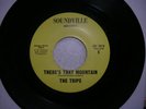 The Trips : There's That Mountain. LISTEN