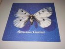 FRANCESCO GUCCINI - PARNASSIUS - FIRST PRESS ITALY 1993