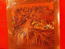 FEVER TREE FOR SALE AMPEX SEALED MINT ORIGINAL PSYCH AC