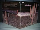 Indian Summer / Same US Orig.LP NEON 1971
