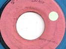 BOB MARLEY & THE WAILERS / SIMMER DOWN / COXSONE / LIST