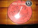 Picture EP - Rise Against 