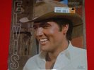 Elvis 