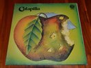 Catapilla Orginal Vertigo Swirl 6360029 D Prog Psych Mo