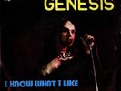 GENESIS: I Know What I Like (´73 / rare Portuguese 7