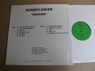 WINDFLOWER DREAMS McKEE NM USA orig HEAVY ROCK  PROG PS