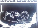 PETER GABRIEL - SHOCK THE DOG (2 LP)