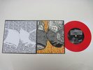 IRON LUNG / HATRED SURGE 7