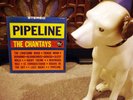 Rare Rock 'n Roll Instrumental LP - The Chantays - Pipe