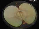 Beatles Record 2 LP White Album  Blank Apple label ERROR rock VG+