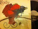 PARADISE  s/t 1980 EBONY LP SIGNED JAZZ BOOGIE FUNK NOT