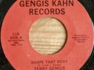 boogie modern soul 45 TERRY GENGIS Shape That Body on G