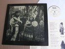 YELLOW AUTUMN CHILDREN OF THE MIST NM USA orig HIPPIE F