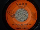 GREAT SOUL 45/ DAVID PEOPLES 