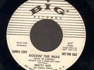 ROCKABILLY 45 Pretty Boy ROCKIN' THE MULE on BIG 617 wl