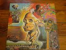 The Flaming Lips 