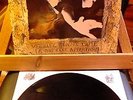 LP prog,psych,kraut,jazz,blues.NOIR DESIR VEUILLEZ REND