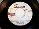 The Beatles Swan S-4182-5 Sie Liebt Dich She Loves You 