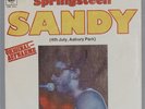 Bruce Springsteen, Sandy, 7inch,  German