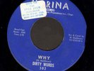 Chicago GARAGE PUNK 45 Dirty Wurds WHY on MARINA 502 cl