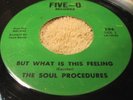 THE SOUL PROCEDURES 