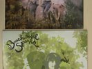 Beachwood Sparks double Sub Pop LP Alt Indie Rock