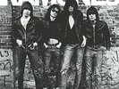 RAMONES - RAMONES  LP VINYL NEW