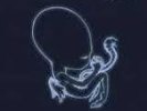 SIGUR ROS - AGAETIS BYRJUN -  2XLP FAT CAT Reissue Near