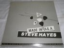 Steve Hayes Made In Tulsa LP LoFi Private Outsider SS