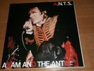 ADAM & THE ANTS A.N.T.S 2×LP vinyl ANT