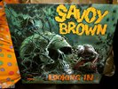 SAVOY BROWN LOOKING IN VERY RARE SEALED LP ORIG 1970 1S