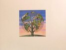 TALK TALK LAUGHING STOCK LP W/INSERT