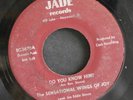 45 SENSATIONAL WINGS OF JOY on JADE rare black gospel