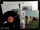 PINK FLOYD 