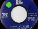 rare Soul 45 BIG DEE IRWIN follow my heart ROTATE